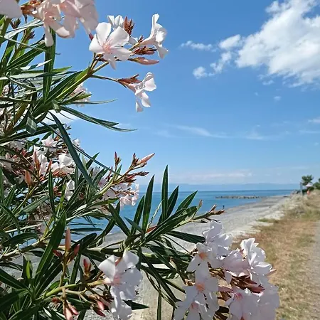 Casa Vacanza Orchidea * Amendolara